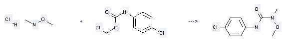 Monolinuronpuòessere preparatodaN, O-dimetilico-idrossilammina; cloridratoconilcarbammatodichloromethyln(4-chlorophenyl).